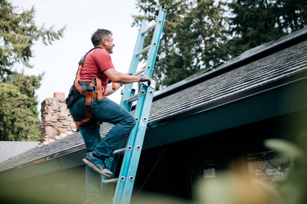 Best Roof Maintenance and Cleaning  in San Joaquin, CA